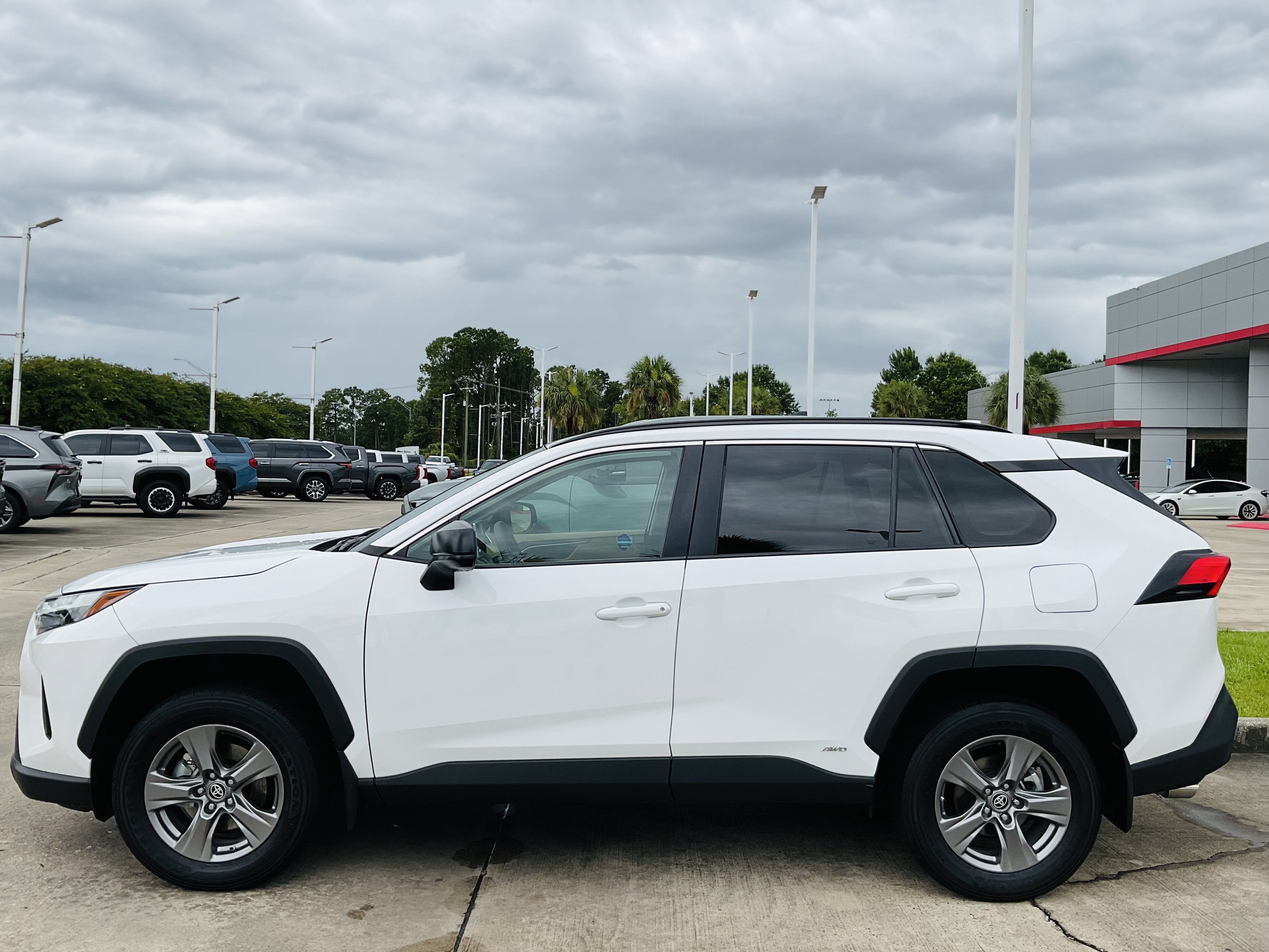 2024 Toyota RAV4 Hybrid Hybrid LE