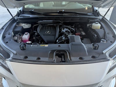 2024 Lexus RX RX 350