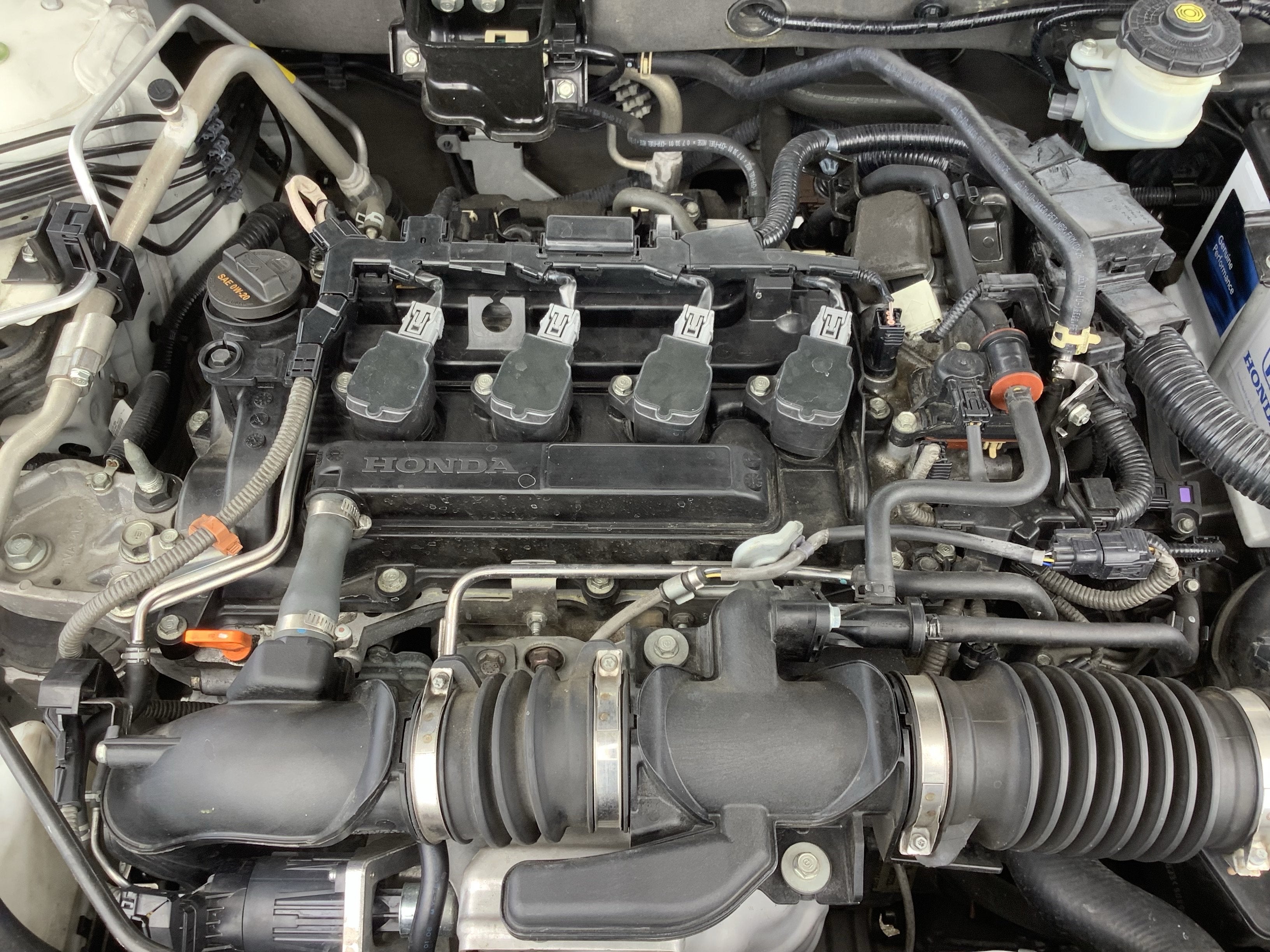 2021 Honda Accord Sedan Sport